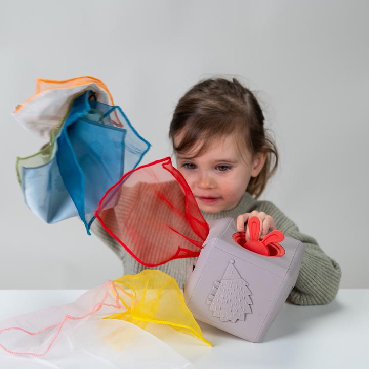 Actual product image Taf Toys Wipes box Pop Up