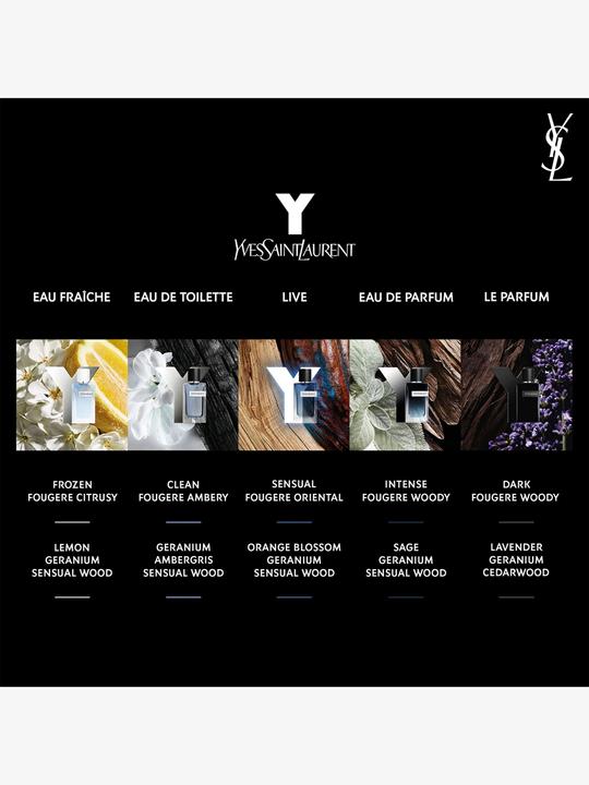 Produktbild Yves Saint Laurent Y (Eau de Parfum, 100 ml)