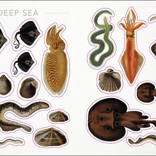 Produktbild The Seashore Sticker Anthology