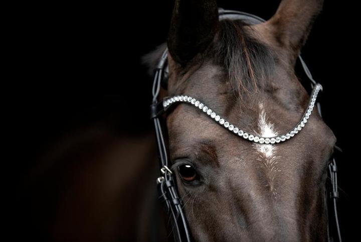 Actual product image Catago Gentle