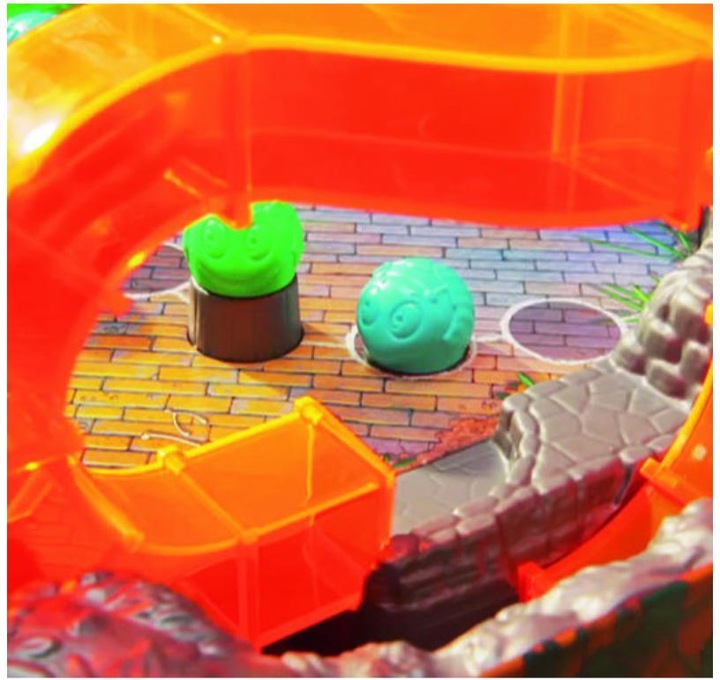 Immagine prodotto Ravensburger ciclo dello scarafaggio (Tedesco)