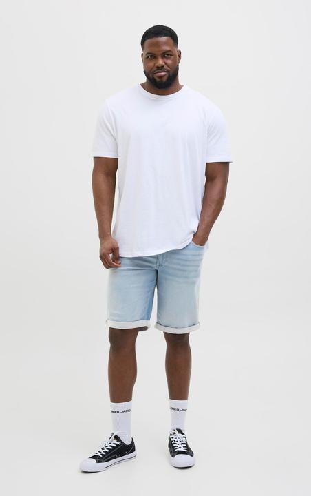 Actual product image Jack & Jones JJIRICK JJICON I.K. SHORTS GE 118 SN PLS (42)