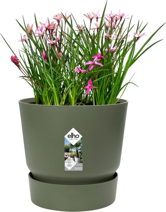 Produktbild Elho Greenville (25 cm)