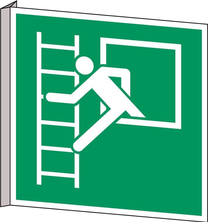 Image du produit Brady Panneau de sécurité ISO - Sortie de secours avec échelle d'évacuation