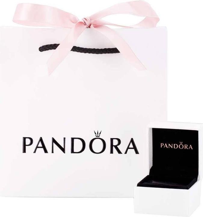 Actual product image Pandora Infinity (Sterling silver)