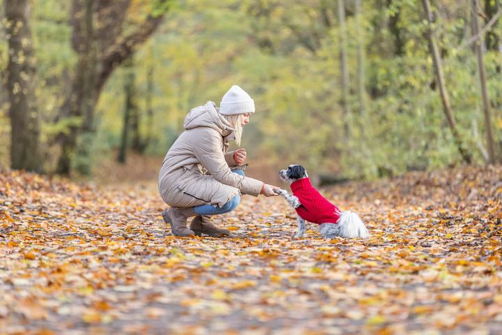 Immagine prodotto Trixie Maglia Norwood S, 40 cm, rosso (S, Maglione per cani)