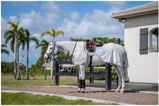 Produktbild Horseware Ausreitdecke Amigo