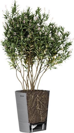 Produktbild Boum Pflanzentopf 15 l (32 cm)