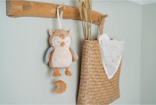 Image du produit Little Dutch Hibou Forest Friends