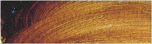 Talens Oelfarbe Rembrandt Asphalt 414 (15 ml)