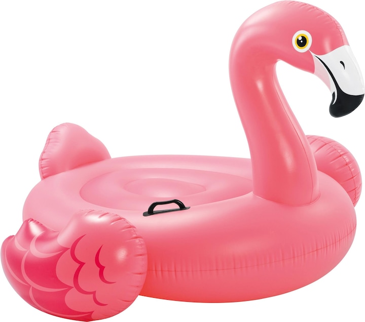 Actual product image Intex Flamingo Ride On