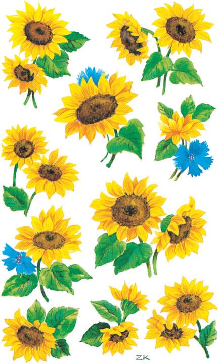 Z-Design Sunflowers
