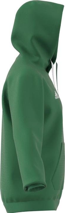 Image du produit adidas Sweat à capuche Entrada 22 Hommes (XS)
