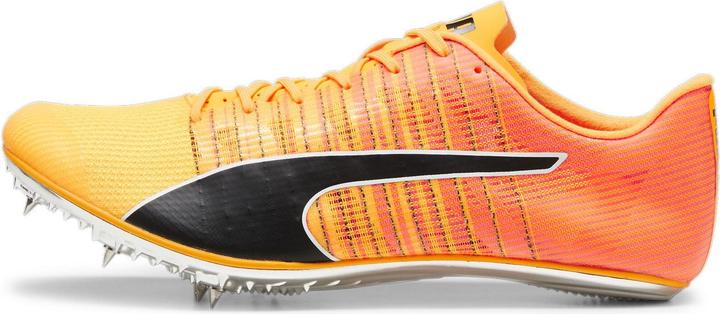 Actual product image Puma evoSPEED BRUSH 6 (40.5)
