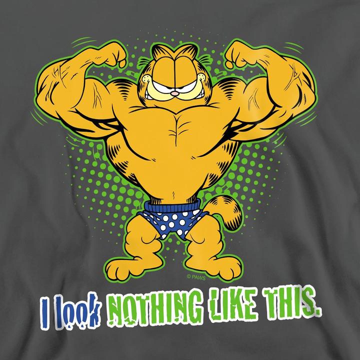Image du produit Garfield - Sweat NOTHING LIKE THIS - Adulte (S)