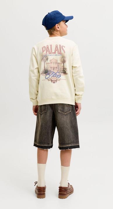Image du produit Jack & Jones Sweatshirt Junior Sweatshirt (176)