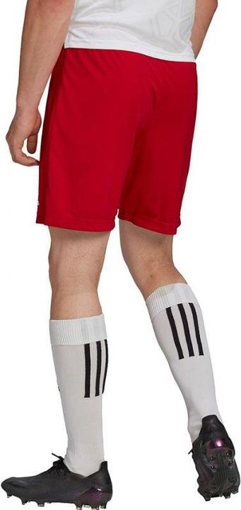 Actual product image Adidas Entrada 22 Shorts Men (S)
