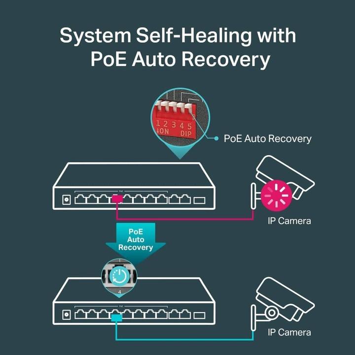 Actual product image TP-Link TL-SG1210MP (10 ports)