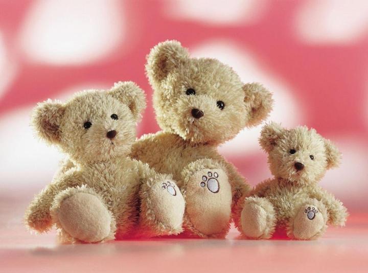 Produktbild Schaffer Teddy Luca (26 cm)