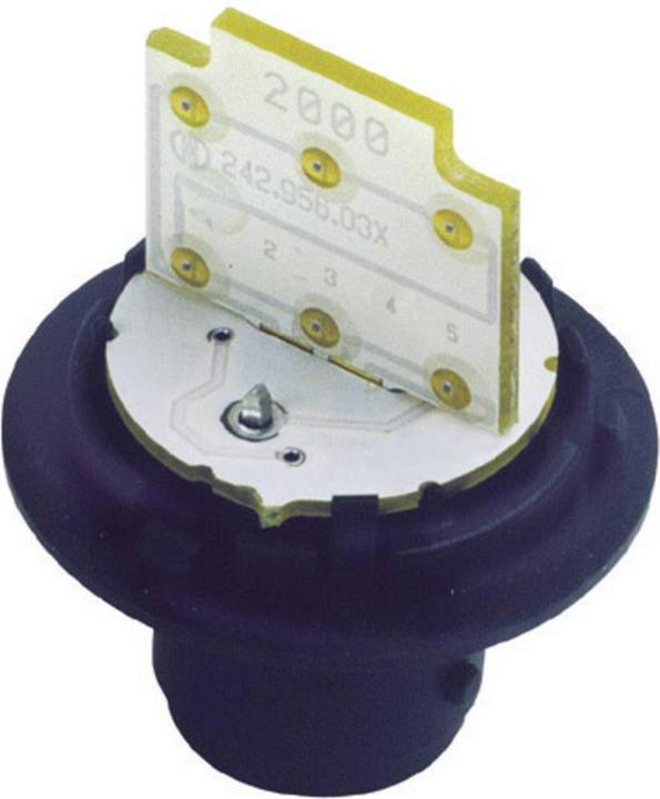 Werma Ampoule
