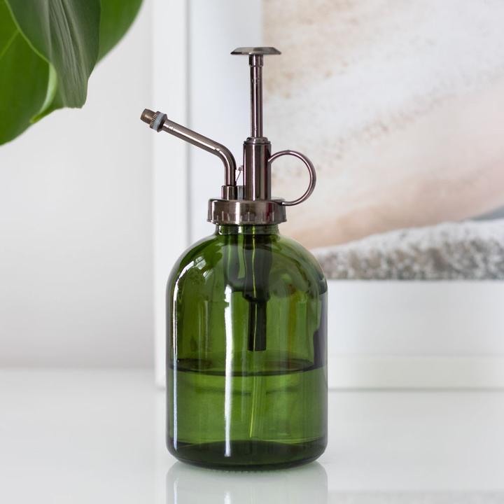 Image du produit Something Different Vaporisateur de plantes Minimaliste en verre