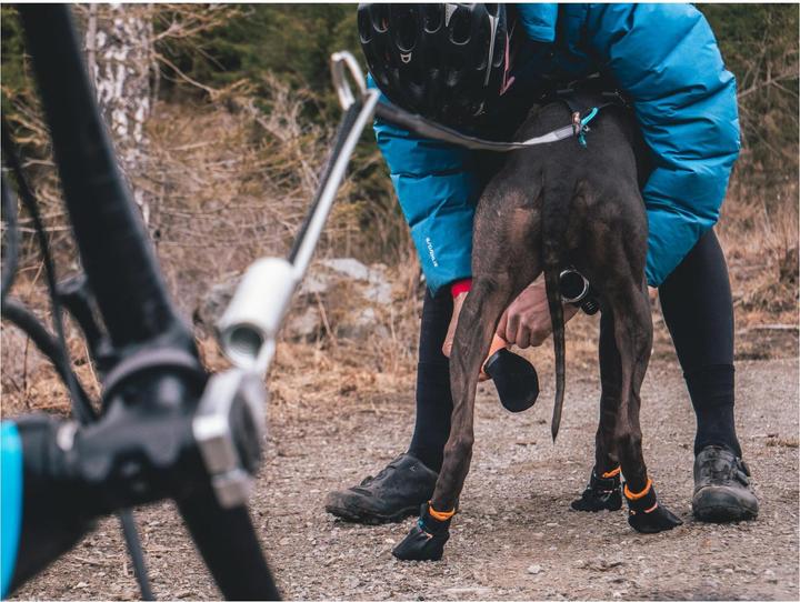 Image du produit Non-Stop Dogwear Protector (M, Chaussures pour chien)