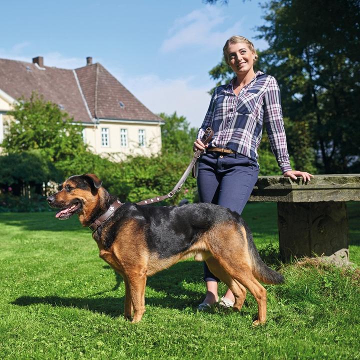 Produktbild Hunter Halsband Swiss Echtleder (M, Hund)