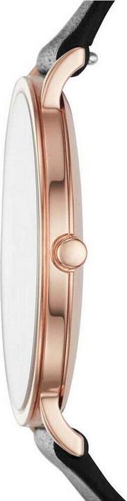 Produktbild Skagen Hagen (Analoguhr, 38 mm)