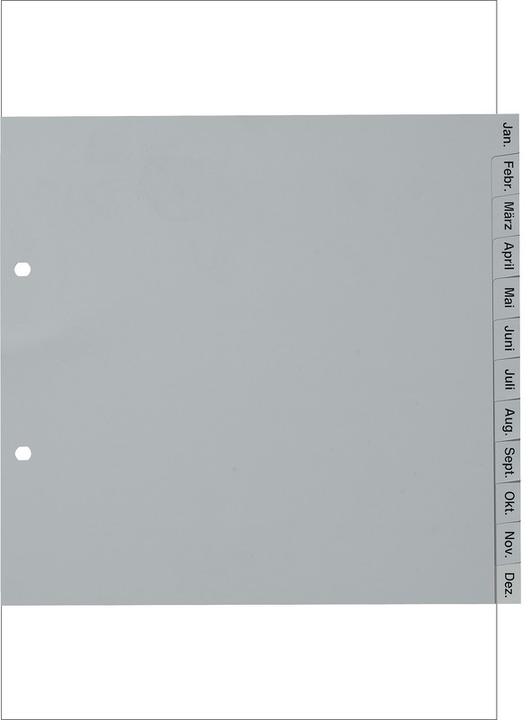 Image du produit Kolma Intercalaire A4 partiellement couvrant Jan-Dec (fr) 12 pcs. gris