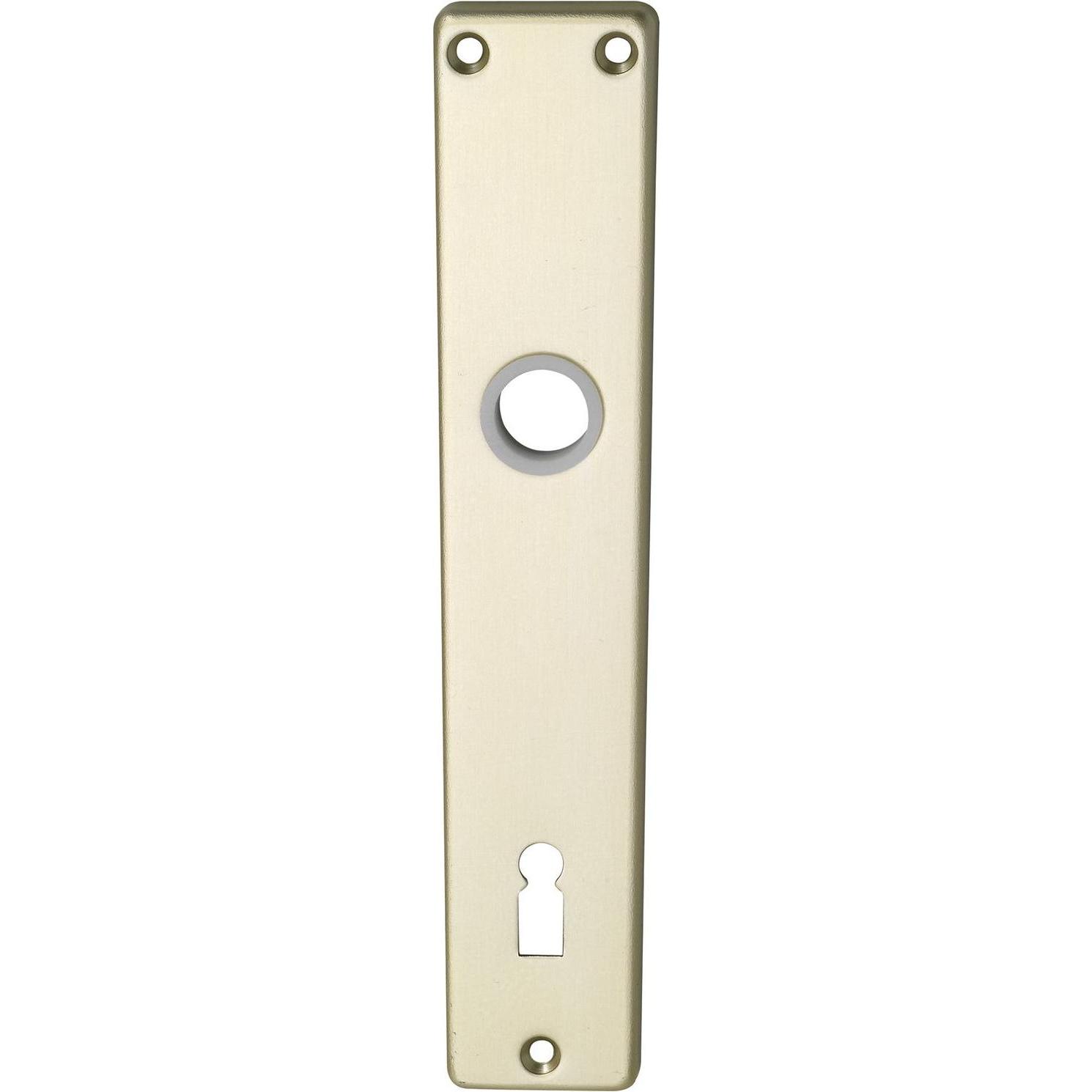 Brialma, Türgriff + Fenstergriff, Langschild EUROPA, BB 90, neusilber eloxiert (Türschild)