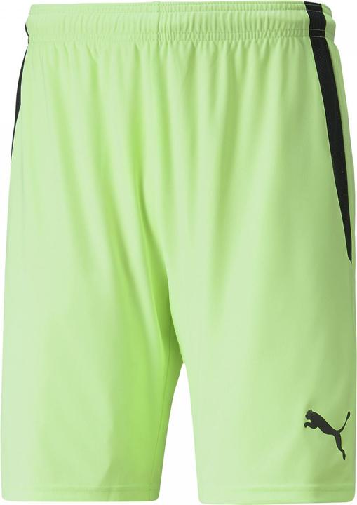 Image du produit Puma Short teamLIGA-704924 (L)