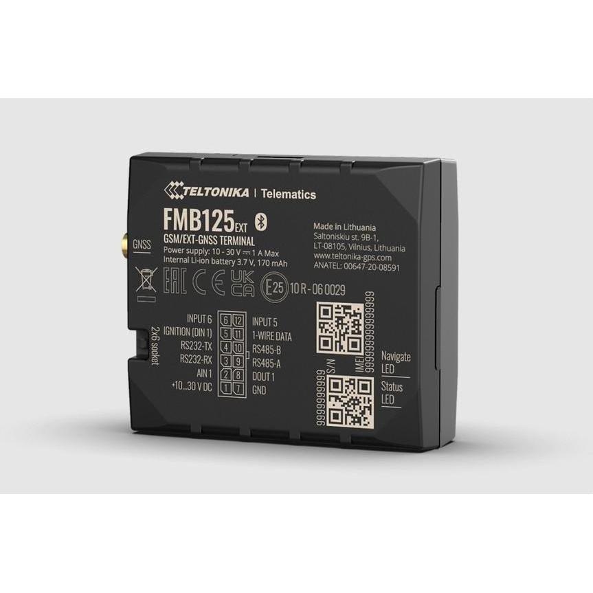 Teltonika, Accessori per navigatore GPS, 2G GPS Tracker mit RS232/RS485 für Kraftstoffüberwachung