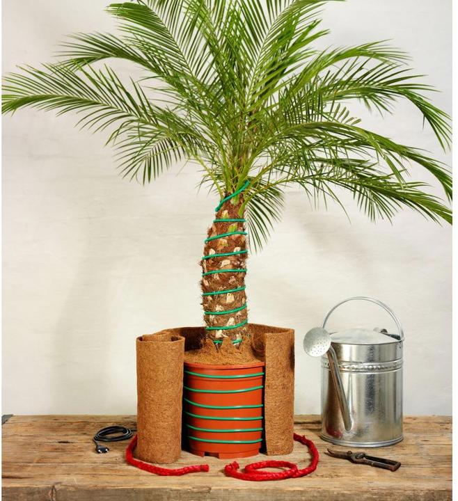 Actual product image Romberg Plant heater L 10 m (8 m heatable), 40 Watt