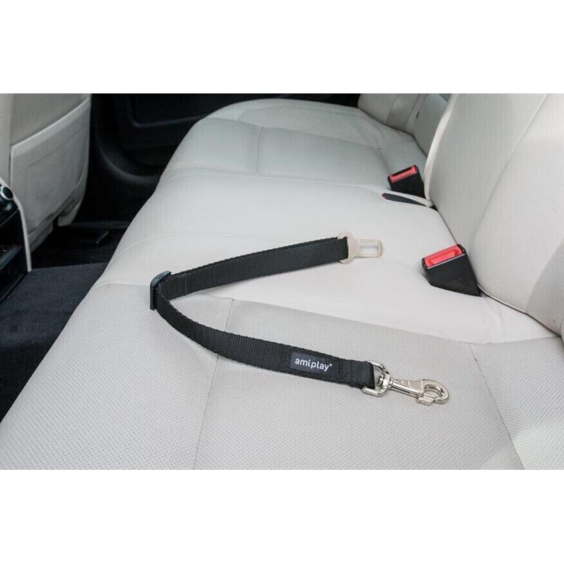 Thumbnail - amiplay Safety Leash With A Basicxl Black Pin, Halsband + Leine