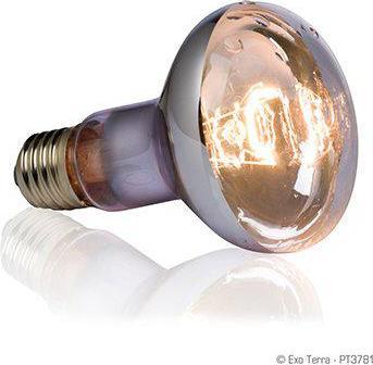 Produktbild Exo Terra Swamp Basking Spot R20 / 75W (Spritzwasserfest)