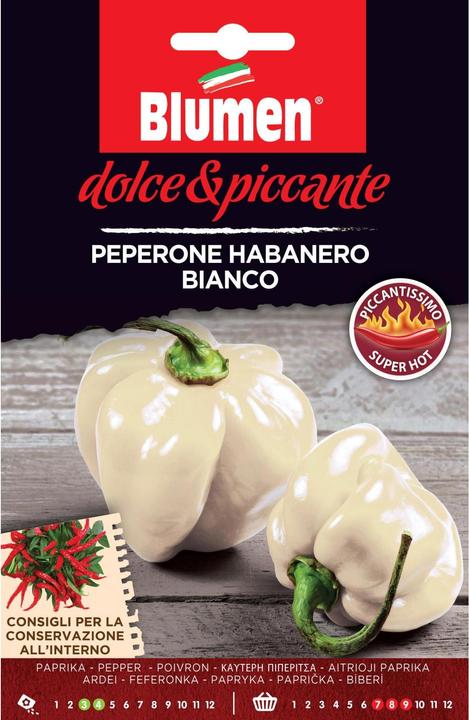 Produktbild Blumen Paprika Habanero Bianco (Gemüsesamen)