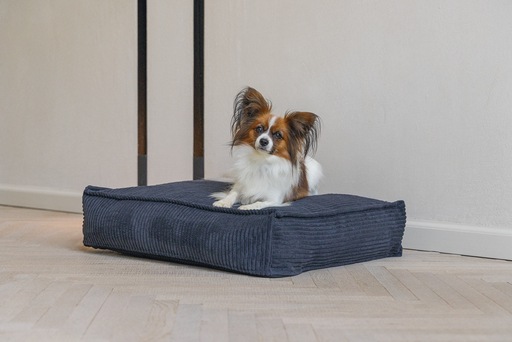 Productafbeelding Designed by Lotte Geribbeld kussen (Hond)