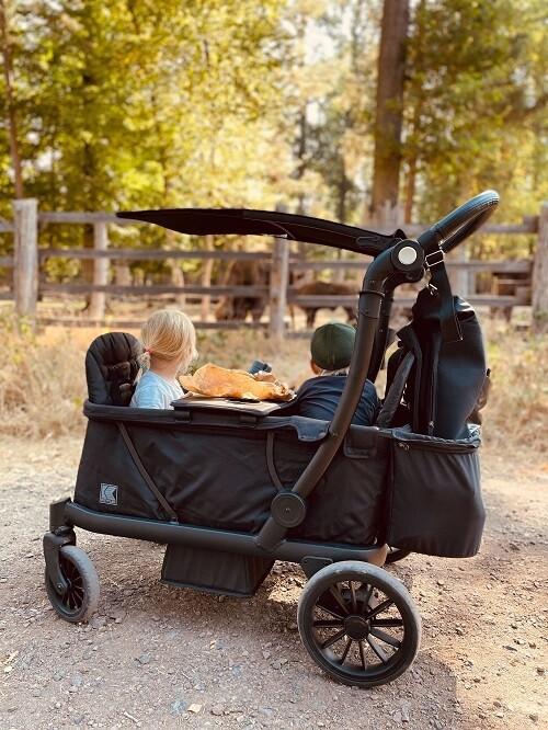 Produktbild Kettler Klappbollerwagen Compact