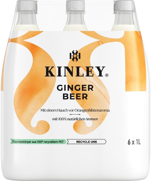 Actual product image Kinley Ginger Beer (6 x 100 cl)