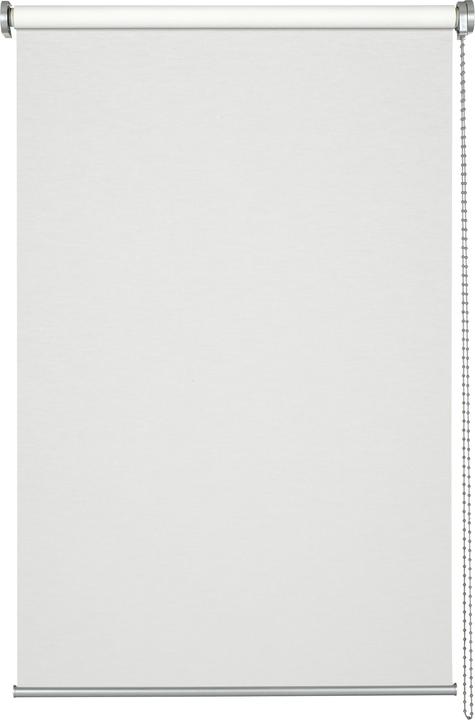 Gardinia Seitenzugrollo Lichtdurchlässig