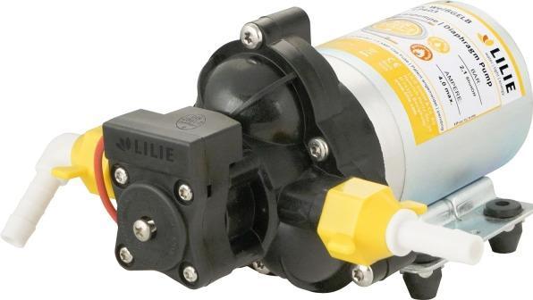 Lilie BiancoGiallo LP403 (Pompa di flusso)