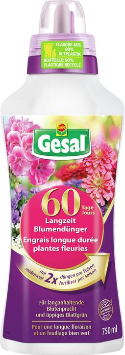 Gesal Langzeit Blumendünger (0.93 kg, 0.75 l)