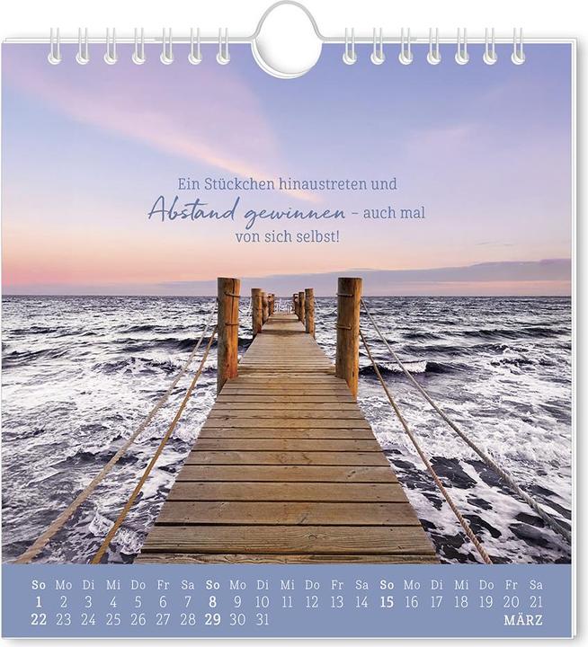 Produktbild Postkartenkalender 2026 Strandgut (16 x 17 cm)