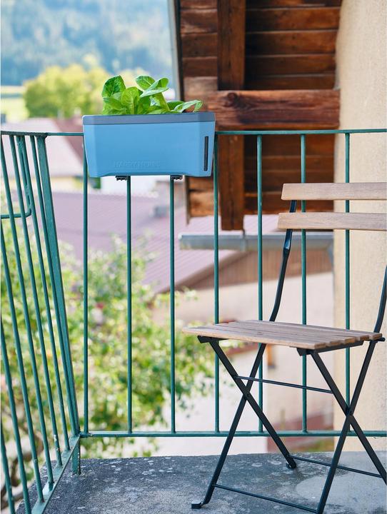 Productafbeelding Gusta Garden Harry Kruiden