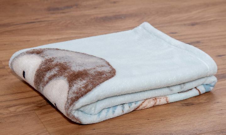 Image du produit Babybest Couverture en microfibre duveteuse Pingouin (75 x 100 cm)
