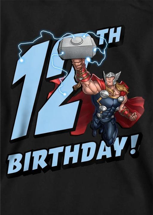 Produktbild Kapuzenpullover 12er Geburstag (152, 158)