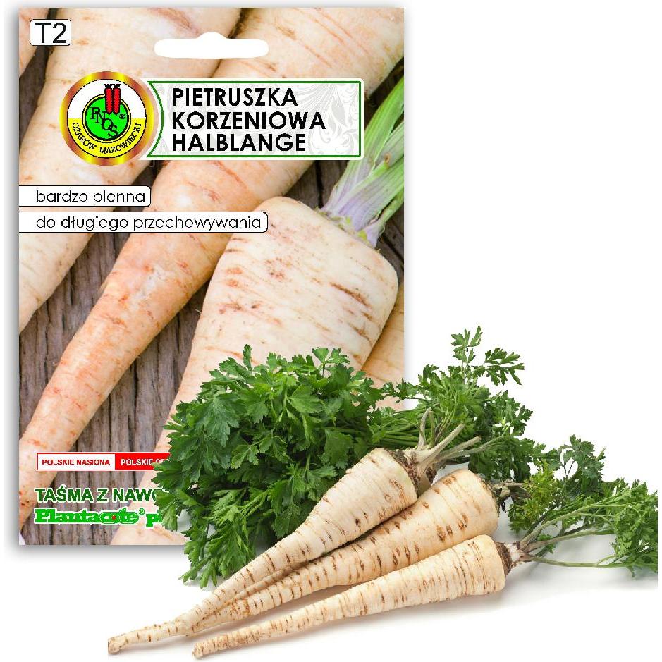 Apte, Semi, PNOS Samen auf Band Wurzelpetersilie Halblange 6m Band (Semi di erbe)