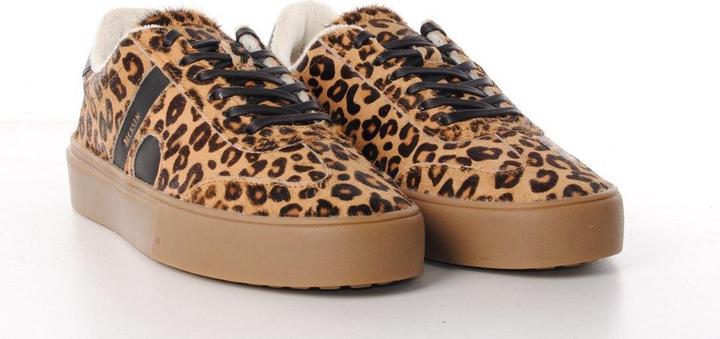 Actual product image Blackstone Quartz Auden (41)