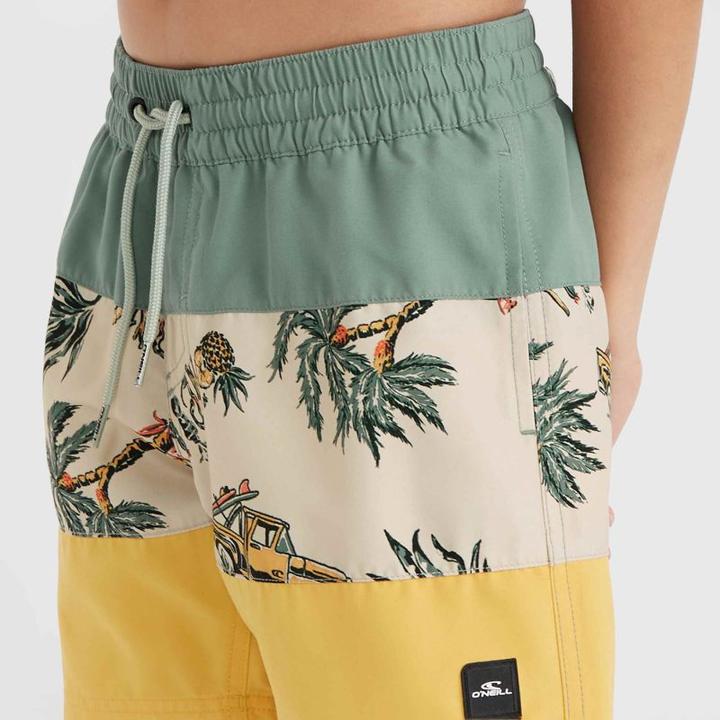 Actual product image O'Neill MIX & MATCH CALI BLOCK 13" SWIM SHORTS (140)