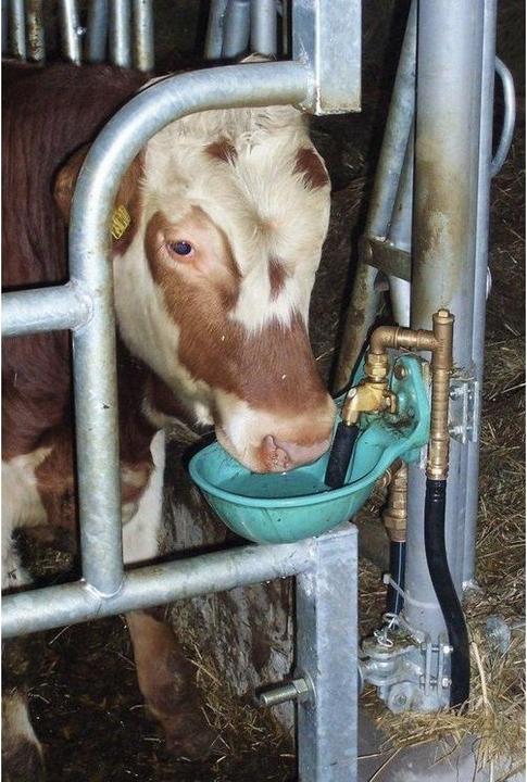 Produktbild Suevia Tränkebecken 25R